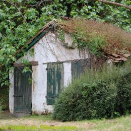 Photo d'une cabane