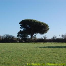 Paysage des environs