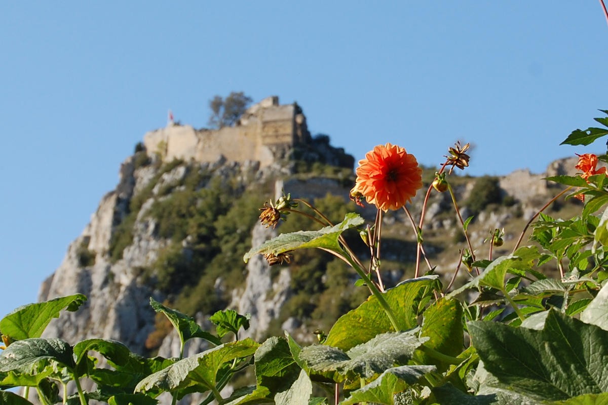 Le château de Roquefixade