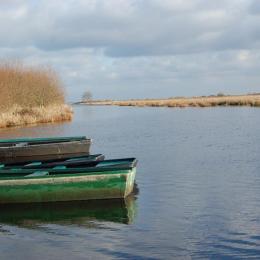 Les marais de Brière