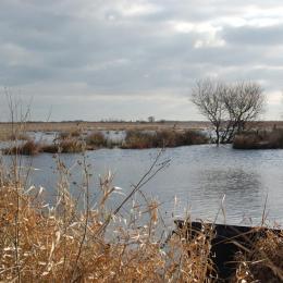 Marais de Brière