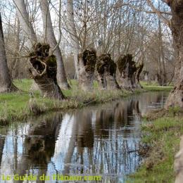 Le Marais Poitevin