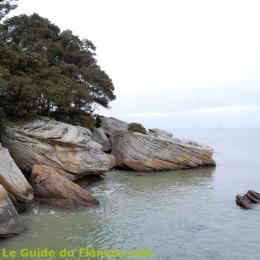 Rochers au bois de la Chaize