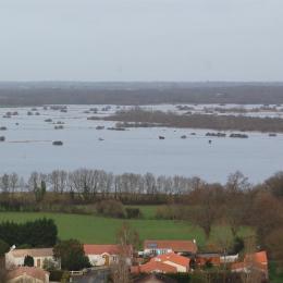 Panrama sur le lac de Grand-Lieu