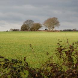 Paysage lumineux