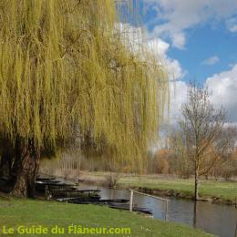 Le port du Vanneau