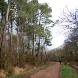 Le chemin de randonnée