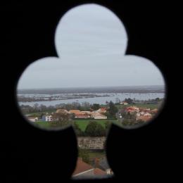 Vue sur le lac de Grand Lieu