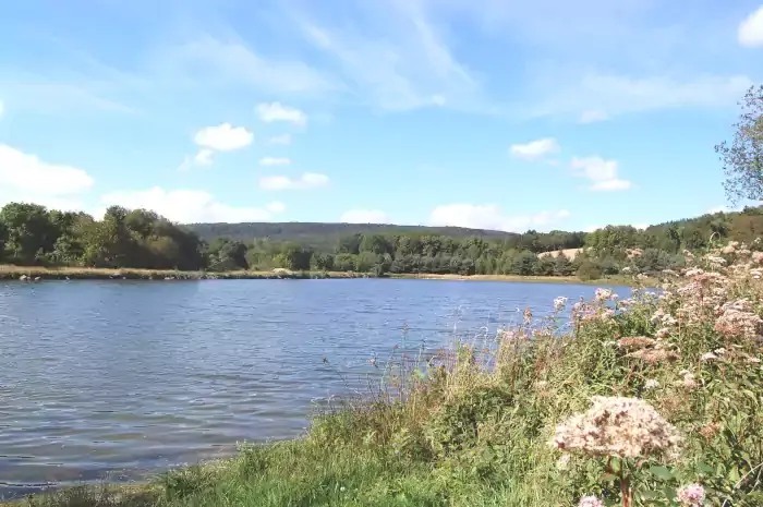 Le bassin de Saint-Denis