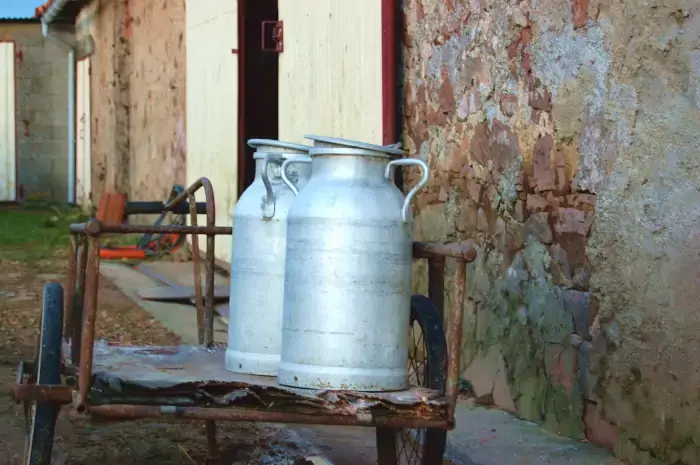 Bidons de lait devant la fromagerie