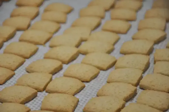 Biscuits aux amandes après cuisson à la biscuiterie des Vénètes