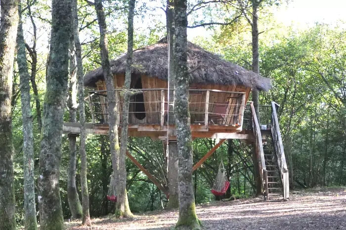 Cabane en bois suspendue à un arbre dans la forêt de Cazarilh