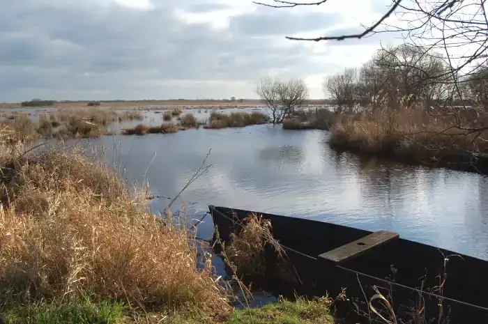 Chaland barque traditionnelle marais briere 700 465