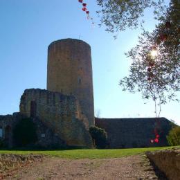 Chateau aurignac 550