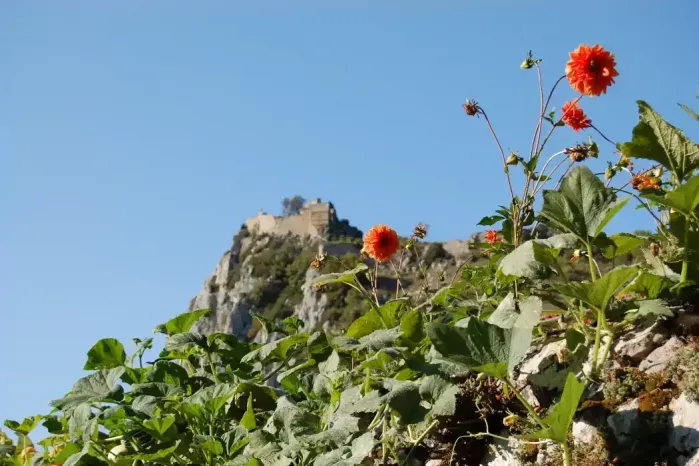 Le château sur la randonnée à Roquefixade