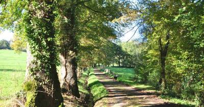 Chemin entre ayen saint robert 1200