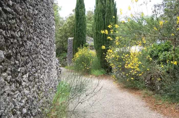 Chemin fleuri sur la randonnée à Saint-Restitut