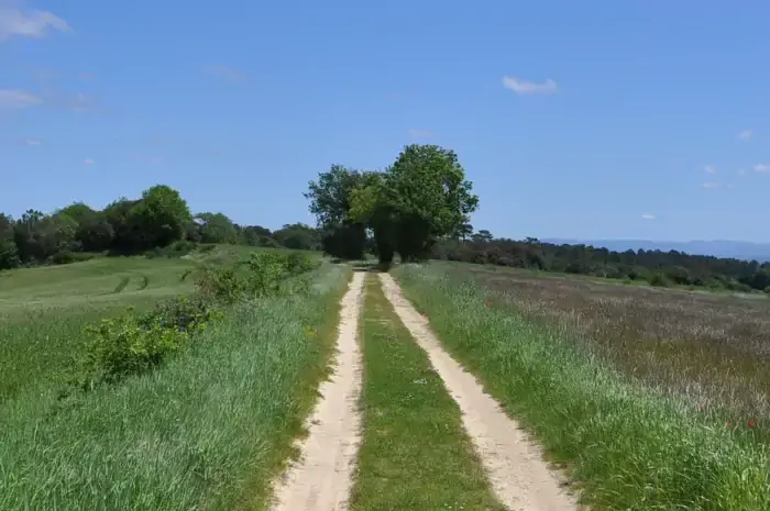 Chemin dans la Montagne Noire lors des randonnées dans l'Aude