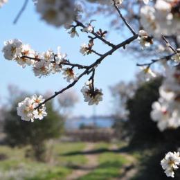 Chemin de Sigean