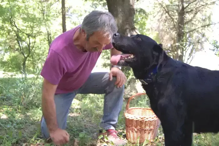 Chouchou, le chien Labrador et Mr Allègre trufficulteur à Richerenches