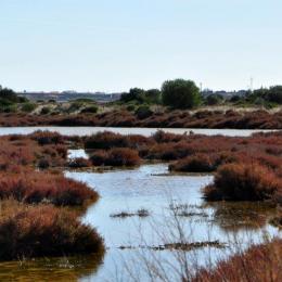 Couleurs etang port la nouvelle