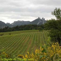 dentelles-montmirail-1.jpg