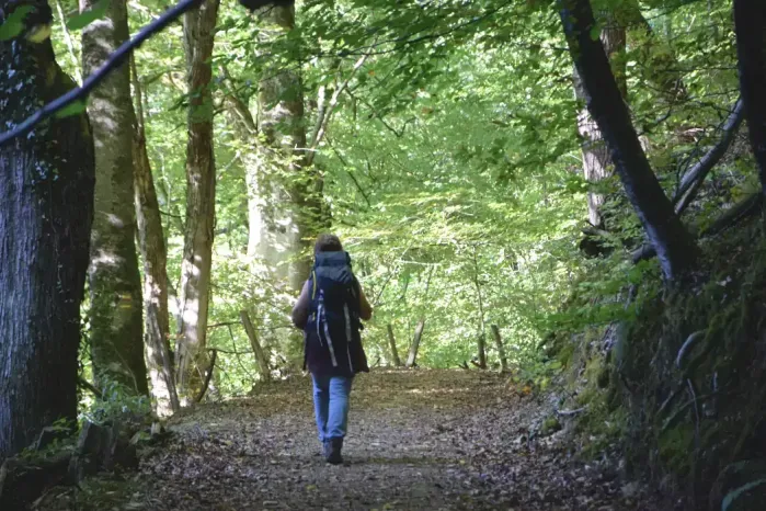 Direction le village d'Escots sur la randonnée à Sarlabous