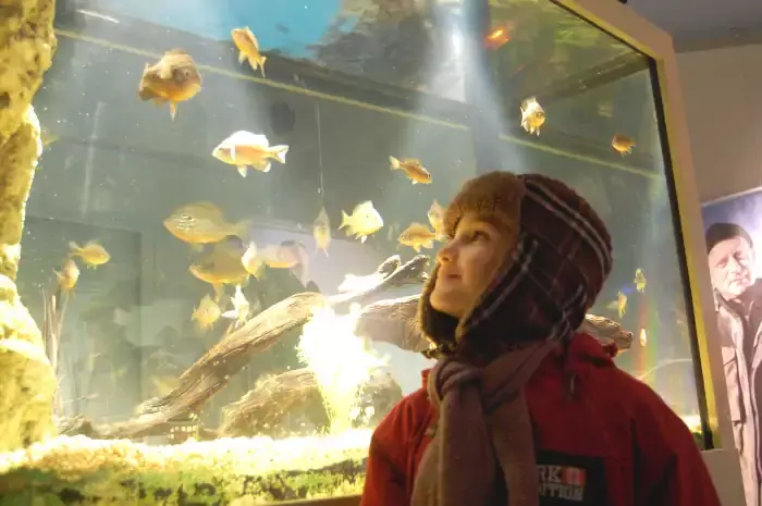 Enfant devant l'aquarium à poissons du lac de Grand-Lieu