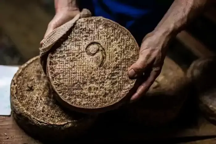 Fromage de chèvre en tomme de la Borieta