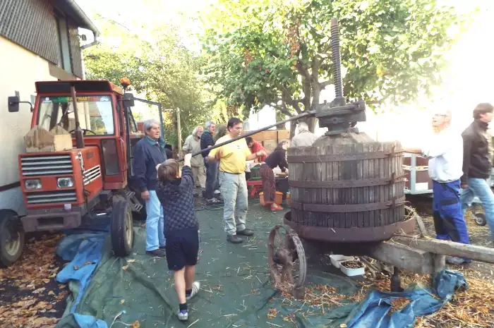 Initiative de la fête de la pomme par l'association Remue Méninges en Midi-Pyrénées