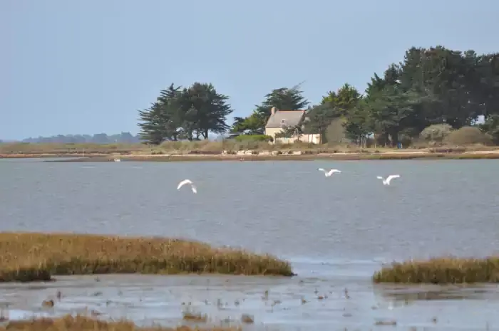 Le passage à Saint-Armel