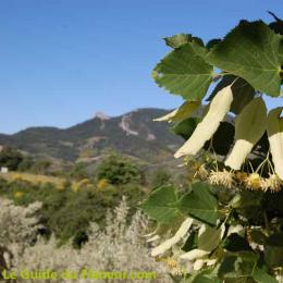 Les Baronnies