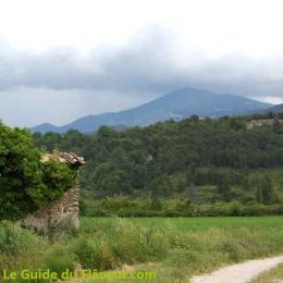 Vue sur le Mont-Ventoux