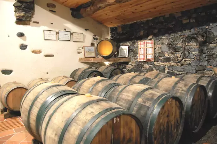 Le Muscadet en fûts de chêne à Gorges