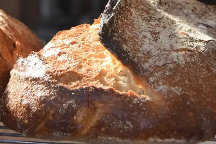 Pain à la farine de blé céréales anciennes de la boulangerie tout autour des moulins