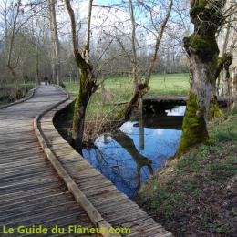 passerelle-marais.jpg