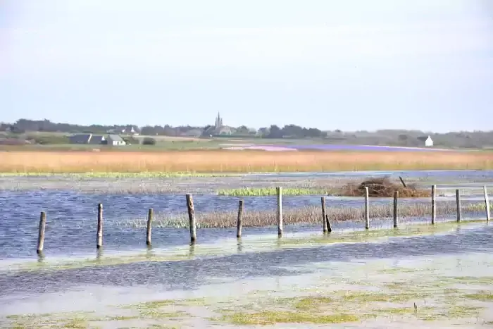 Paysage de la baie d'Audierne sur la randonnée Saint-Jean-Trolimon