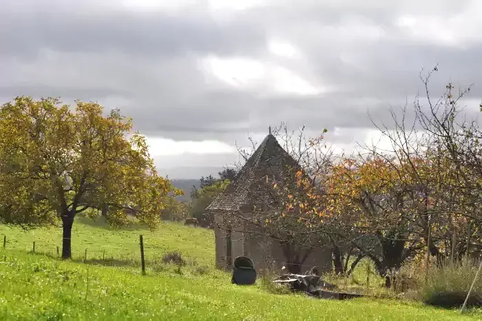 Paysage de prairie et verger de pommiers à Allassac