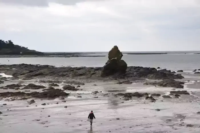 Pêcheur à pieds dans l'estuaire de la Vilaine