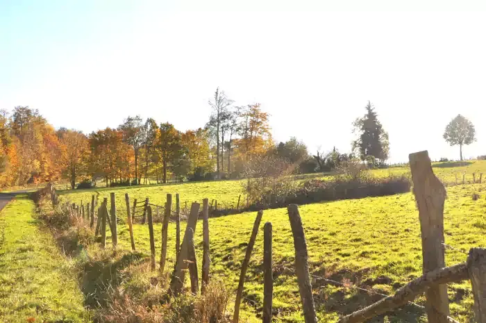 Prairies cloturées et bosquets d'arbres sur la randonnée à Cussac