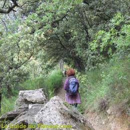 Sur le chemin de Malaucène