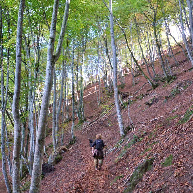 La randonnée pédestre en Midi-Pyrénées