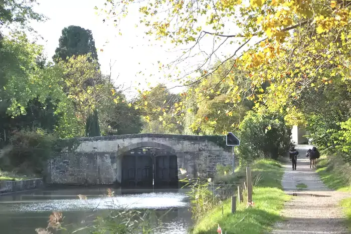 Randonneur avec son âne sur le chemin de halage du canal du midi à l'écluse de Tréboul