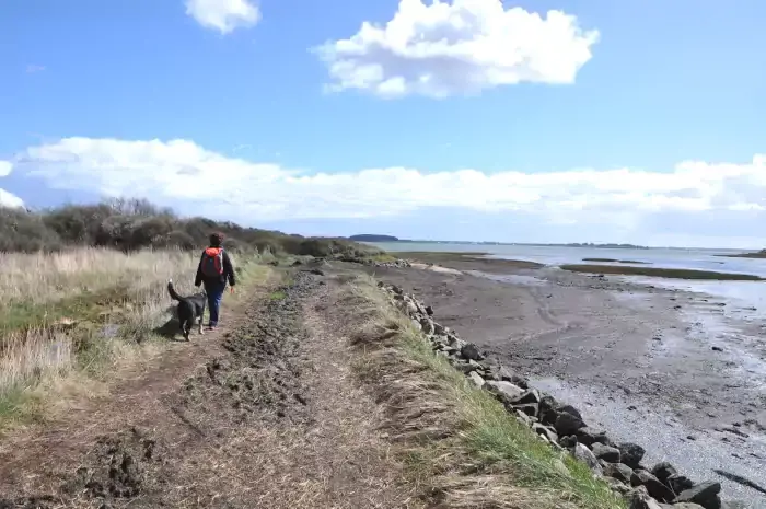 Une randonneuse sur les bords du golfe du Morbihan sur la randonnée à Séné