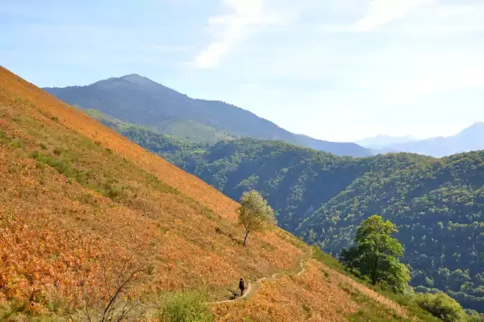 Une randonneuse sur le chemin des paysages du Pays d'Aure sur la randonnée d'Arreau