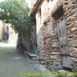 Ruelles ceps