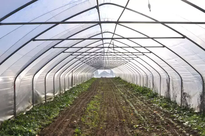 La serre de production en maraîchage de la Salamandre