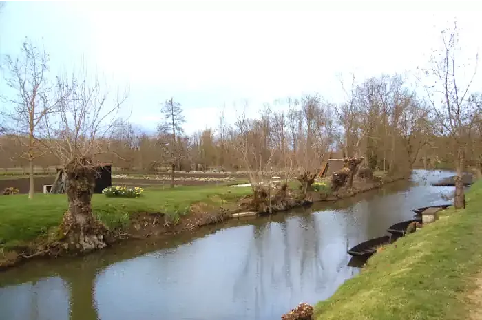 Des Yoles sur un canal du marais Poitevin